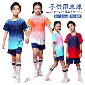 上下セット 卓球ウェア 半袖 セットアップ パンツ トップス 卓球 シャツ 子供 卓球 ショートパンツ 練習着 Tシャツ 卓球 ユニフォーム