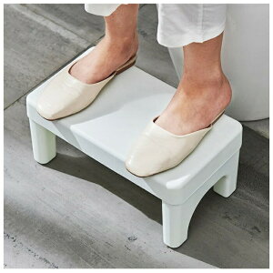 gCݑ qgCg[jO gCXebv ⏕ݑ @\ ~ ω׏d80kg