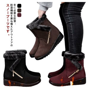 h h΍ Xm[u[c fB[X {A JWA C hu[c ₷ N V[gu[c ₷ g ~C ~pu[c ۉ 傫TCY