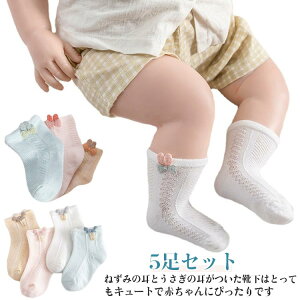  V[g\bNX C xr[\bNX ETM̎ bV  LbY  5Zbg ct c ĕ  킢  0-6 6-1