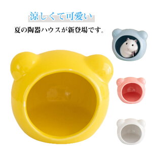  B  ̑ nX^[nEX ėp nlY~ nX^[xbh Ђ xݏ