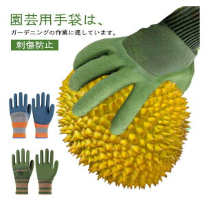 K[fO[u fB[X EZbg 4 A͗p @\ JԂgp\ h ~ hh~ o |p