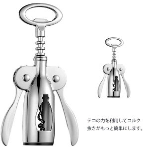 CI[vi[ 𔲂 RN i 炩dグ ȒP ϋvQ Cpi