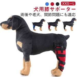 p 둫 T|[^[ ֐߃veN^[ yA Œ EZbg  V G ی