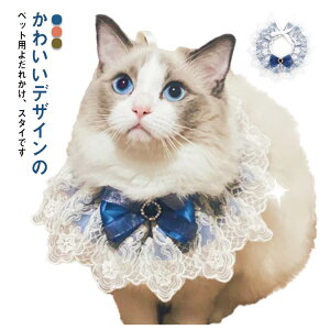 ybgp 悾ꂩ X^C L  [X { hbOEFA Lp ANZT[   XJ[t t P ap ʐ^Be