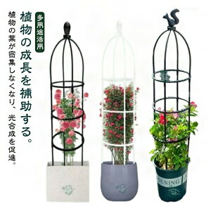 |pi K[fjO  x ȈՑg IxXN 鐫A op gX Ԏx AT|[g A[`