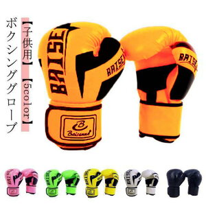 yyVX[p[SALEΏۏiz {NVOO[u Ō qp K LbY EZbg g[jO  iZ p`OO[u