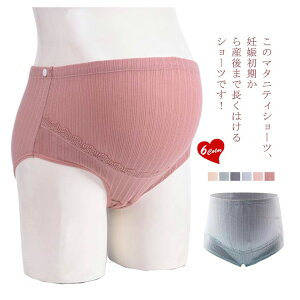 �}�^�j�e�B�V���[�c �D�w�p ���K �V���[�c �D�P��������Y��܂� ���ɗD���� �C���i�[ ���f�B�[�X