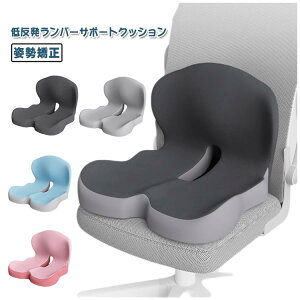 yyVX[p[SALEΏۏiz p zc ɃNbV w ̌^ ItBX ՃT|[g ᔽf