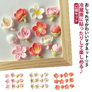 }Olbg ~j}Olbg   12Zbg  ① ItBX  ԕ CeA  G Lb` Xe[Vi[   킢 i` Vv k