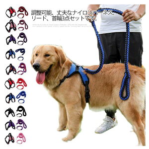 pn[lX ^ ^ n[lX[hZbg iC \  S ʋC