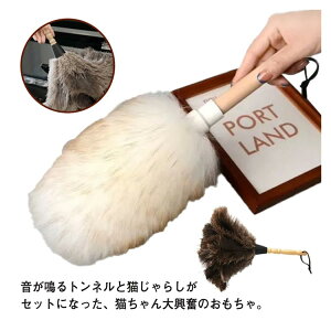 H nhbv tFU[_X^[ k  | _炩 o nfB[_X^[ ق uVbv ԑ|