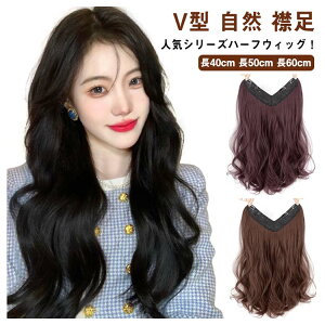 EBbO n[tEBbO ^b` ȒP  ݑ J[ O ~fBA ×p i`