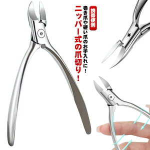 ؂ꖡ  N ₷ XeX ό` ƒp ܐ؂  jbp[^ lCPA