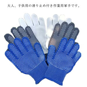 qpR lpR ~ߕt LbYp | AEghA Lv nCLO Ɨp ^p