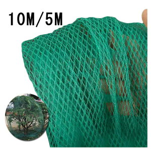 10m Ă钱lbg hhlbg ʎp ׂڍ y _|p x_悯 X|[ch h