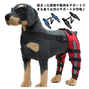 p ֐߃veN^[ G T|[^[ 둫p ֐ߕی EZbg yA Œ tBbg