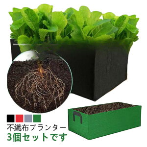 v^[ tFgv^[ sDzv^[ sDz|bg ͔||bg z ͔| tFg A Aؔ ړ K[f ʋC A琬 ؍͔| ƒ؉ | e 60*30*20cm 