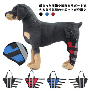 yyVX[p[SALEΏۏiz p ֐߃veN^[ GT|[^[ 둫p ֐ߕی Œ ybgpT|[g