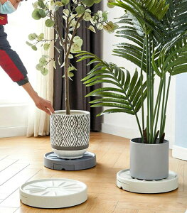 Aؔ tړԑ  v^[pM 360°]LX^[t |bN ϗtAp pr@\ 5TCY