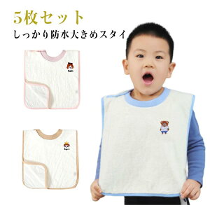 傫 5Zbg ʖh xr[ru 悾K[h HpX^C Ԃ Hׂڂh~ 􂦂 jp