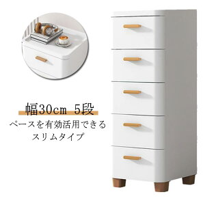 Ԏ[ 30cm X 5i o vX`bN [^Cv ①ɉ @ rO`FXg ߗގ[ ߑP[X