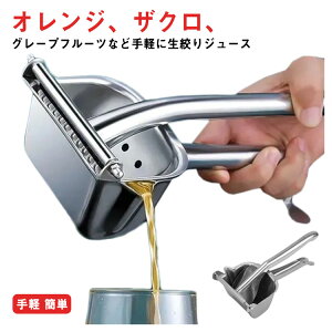 W[T[  ʕi nhW[T[ XeX ʏ`i IW ݂ O[vt[c tbVW[X  y 蓮 ƒp