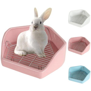 p gC P[W ``p Op gC L ݖh~ ԃXmRt gCg[jO