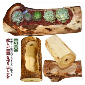 A 񂹐A  ؐ ` VR ꌊ ϗtA A t[|bg ۋ T{e |p DIY i` ؐ TCY