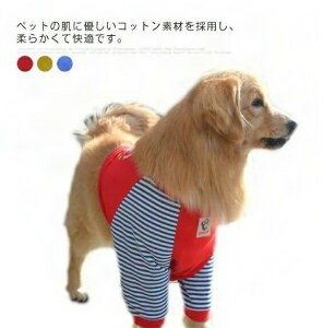 �_�労�Ӎ�SALE�J�Ò����܂Ƃߔ����N�[�|������^ �p��E�F�A �p�㕞 �h�b�O�E�G�A ��^���p �_�炩���p�W���} �����іh�~ �������ȐQ�Ԓ� ���K�ȕ�����