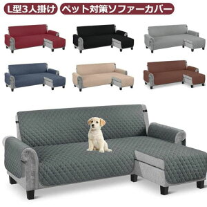 ^ Jo[ JE` 􂦂 ې  \t@Jo[ ybg΍ 3l| L I JE`\t@ \t@[Jo[