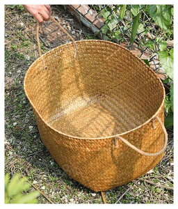 _Si|Cg5{{N[|zz^ h[ 傫 i` E߂ oXPbg ҂ e 󂩂 [ 4TCY