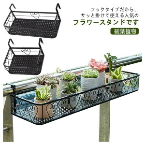 ݂艺 ϗtA bNX^h ACA O  k t[X^h v^[nK[ |bN ԑ Ǌ| K[fG