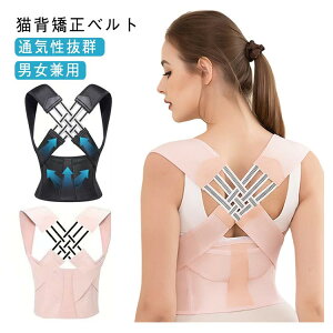 Ci[  eɂȂ Lwxg pT|[^[  ڗȂ ␳  Lw w؃T|[^[ pP 傫TCY  oXgAbv qp