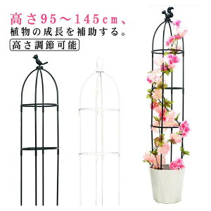 K[fjO x o g ~jIxXN gX 鐫A Ԏx AT|[g 뉀 v^[  |pi