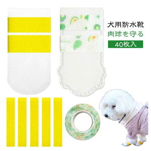 ̌C ~ ی LkSѕt U h~ sDz pV[Y hbOu[c ĝ ho h ybgC PKh~ یV[Y AEghA