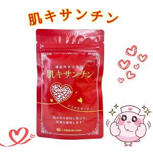 @\\Hi LT` (90/30) AX^LT` ̐ێT|[g ɘa O΍ 玉 V CN̂ Ƃ n ̂Ȃ߂炩 ΍ L