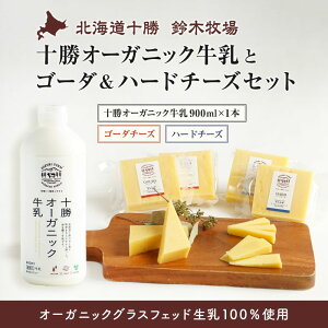 �\���I�[�K�j�b�N�����ƃS�[�_���n�[�h�`�[�Y�Z�b�g�b��ؖq��b���� �L�@100% �~���N A2�~���N �O���X�t�F�b�h �k�C�� �q�ꋍ�� �i�`�������`�[�Y �|�C���g����