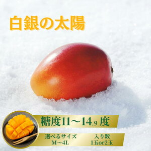 マンゴー 白銀の太陽 糖度11度以上<選べるサイズ・入り数>Mサイズ〜4Lサイズ 【2025年10月末より発送開始予定】 | 青果 ギフト グルメ お歳暮 お年賀 プレゼント 出産祝い お祝い ポイント消