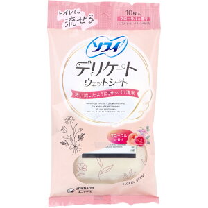 �y���[���֑Ή��z�\�t�B �f���P�[�g�E�F�b�g�V�[�g �t���[�����̍��� 10���� �f���P�[�g�]�[�� �V�[�g ���C�v �g�C���ɗ����� �g�їp ������ ���� �j�I�C �΍� �t�F���P�A �؂₩ ���t���b