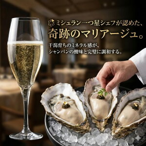 /Goׁz Vpp y kt 500g(15) "Ђl" 啪 ÎY | ~VVFtF ICX^[o[ iCtt  Mtg C ܂ VOV[h 