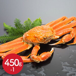 {C킢Ɏp 450g×1t Ji_Y y݁z }Ⓚ YCKj I  Jj݂ p 킢I Mtg 蕨 v[g j j Ε ~O {Cς 𓀂邾