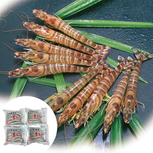 yzyYnz F{  Y Ⓚ ԊCV 20 (400g) hgp N j Mtg