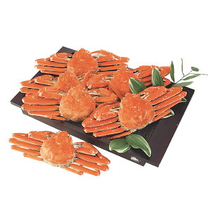 y3kg!z {C 킢 p 500g×6t y݁z Ji_Y YCKj I  JjX p {YC Kj ܂邲 3L Zbg {Cς }Ⓚ Mtg 蕨 v[g j 