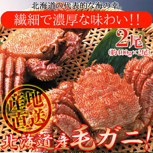 �k�C���Y �уK�j 800g (400g×2��) �y�������݁z �{�C���ς� �ъI �I ���� �J�j���X �p ���Y �M�t�g ���蕨 ���Ε� ��Ε� �N���N�n ������ �~�O���� 30�� 40�� 50�� 60�� �� �� �v �� �v���[���g ���j