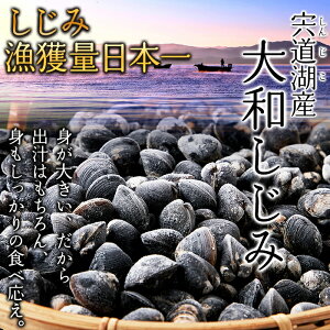 �y���������z�����ΎY �Ⓚ ��a������ 1kg | �嗱 �������s�v �������ς� �V�W�~ � ���X�` ���z���� ������ �o�` �_�V �I���j�`�� �̑� ���N �������Y ���Y �Ɩ��p ���p �O���� �M�t�g ���Ε�