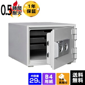 �厖�Ȃ��̂��΂����� �_�C���Z�[�t �ƒ�p�ω΋��� 2�L�[�^�C�v B4 DW30-S �e��29L