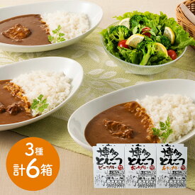 素材の旨みが凝縮した本格 福岡 博多とんこつカレーセット 各180g×各2 詰め合わせ