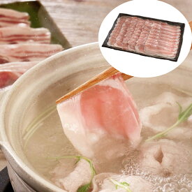 やわらかジューシー 薄切り霜降り 出汁に広がる上品な甘み 長野 信州くりん豚しゃぶしゃぶ 500g