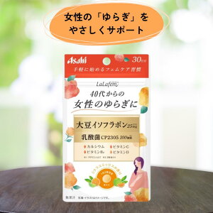 ytFPAE炬΍Ɂz哤C\t{ _ Tvg 40ォ̏ 炬 XNytF LaLafembATqO[vHiz